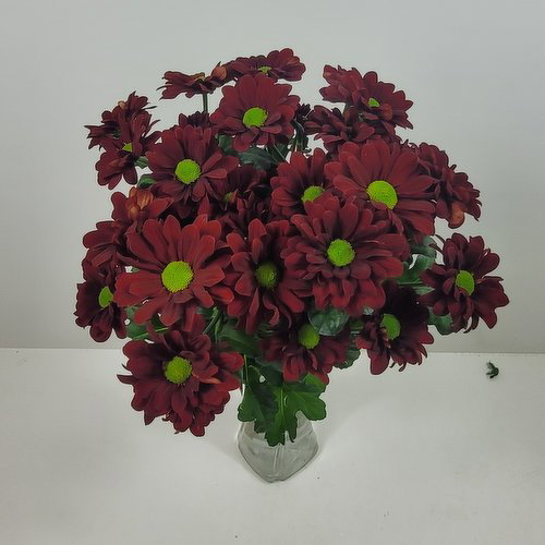 Carnation - 8 Stem