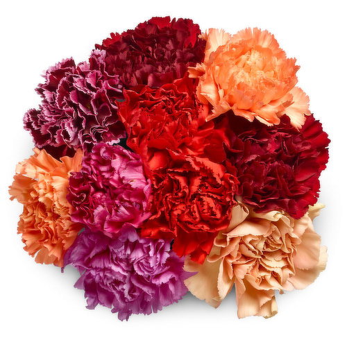 Carnations - Assorted Colours Bouquet, 10 Stem