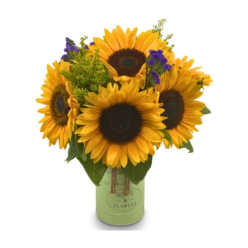 Sunflower - Honey Hutch Arrangement