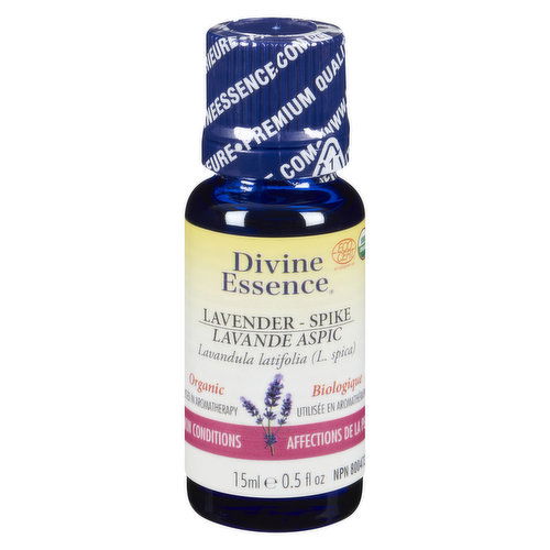 Divine Essence - Essential Oil Lavender Spike