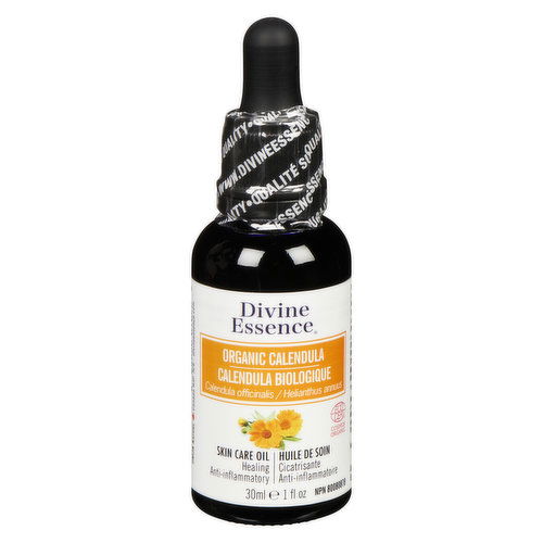 Divine Essence - Vegetable Oil Calendula Extract