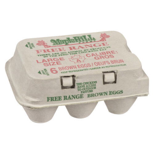 Maple Hill - Free Range Brown Eggs, Large