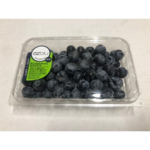 Fresh - Jumbo Blueberries