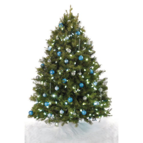 Christmas Tree - Douglas Fir, Large