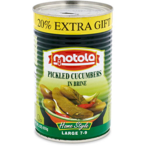 Motola - Pickled Cucumber In Brine