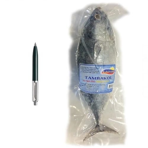Kababayan - Skipjack Tuna