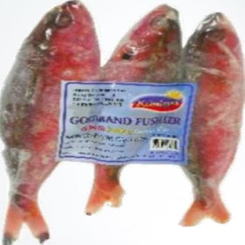 Kababayan - Goldband Fusilier