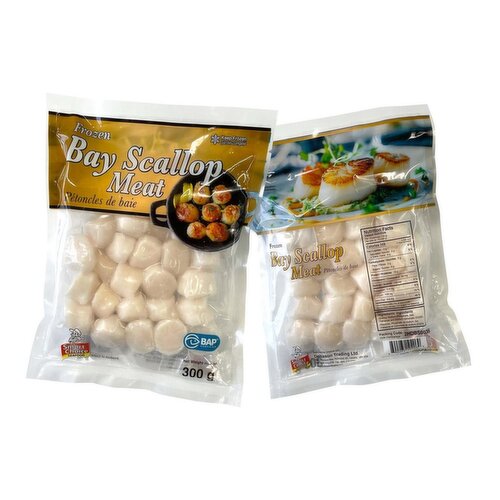 Smart Choice - Frozen Scallop Meat 20/40