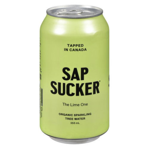 Sapsucker - Sparkling Tree Water Lime