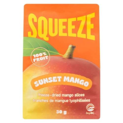 Squeeze - Freeze Dried Mango Slices