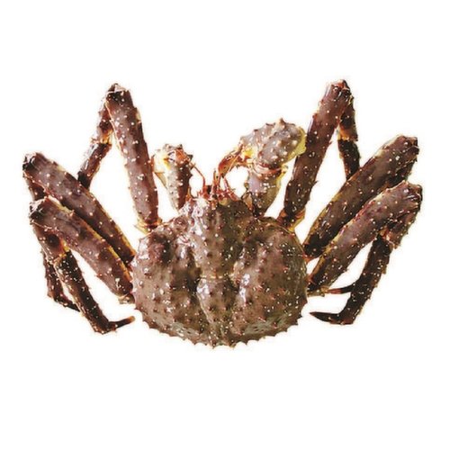 Save-On-Foods - O/W Live King Crab