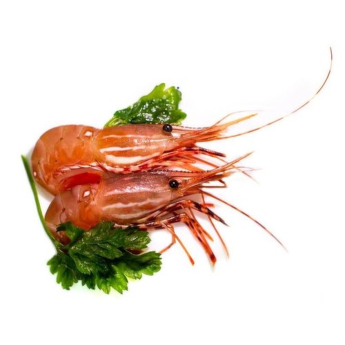 Fresh - BC Fresh Spot Prawns