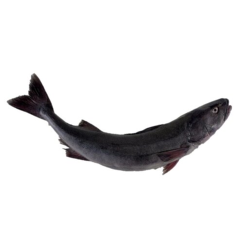 Black Cod - Fresh, O/W Sable (Whole)