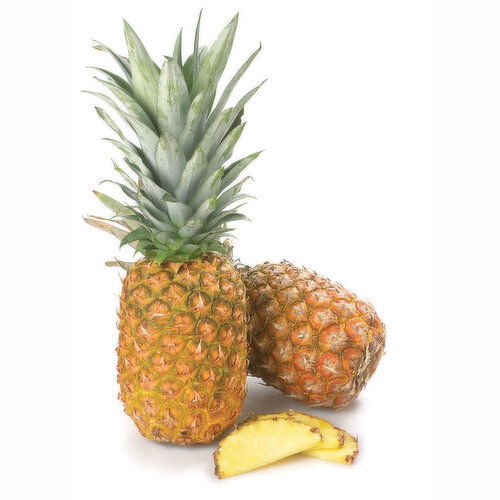 Pineapple - Gold, Extra Large