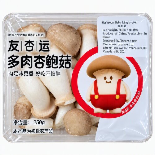 Fungi - Mini King Oyster Mushrooms
