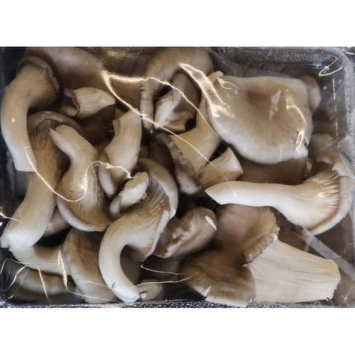 Fresh - Oyster Mushroom