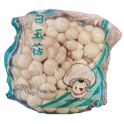 White Beech - Mushroom