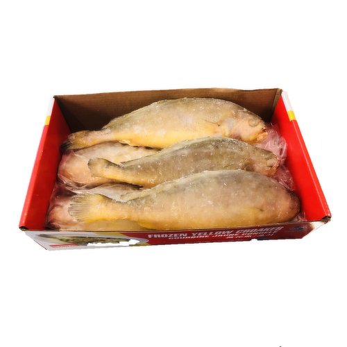 Frozen - Yellow Croaker 150-250