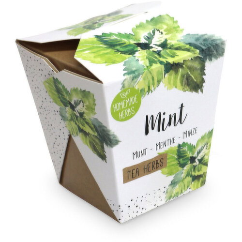 Homemade Herbs - Mint Tea Kit