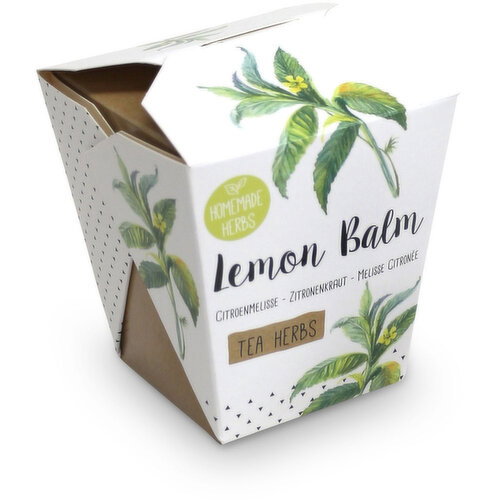 Homemade Herbs - Lemon Balm Tea Kit