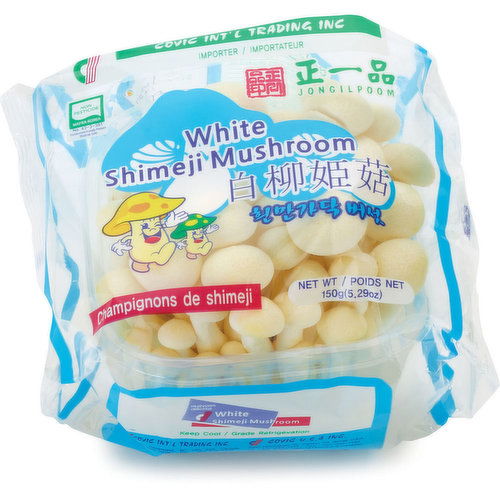 Mushroom - White Shimeji Mushroom