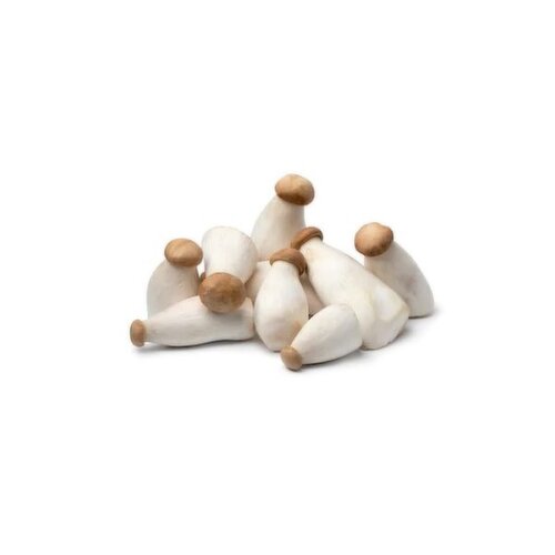 Jongilpom - Mini King Oyster Mushroom