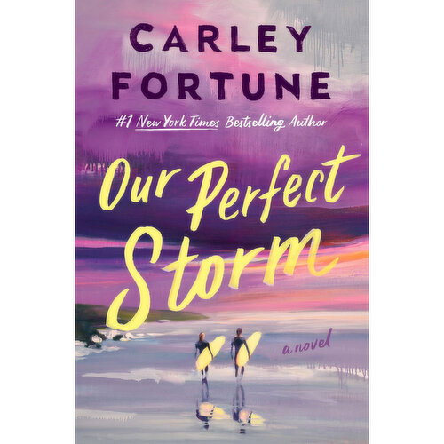 Our Perfect Storm - By Carley Fortune