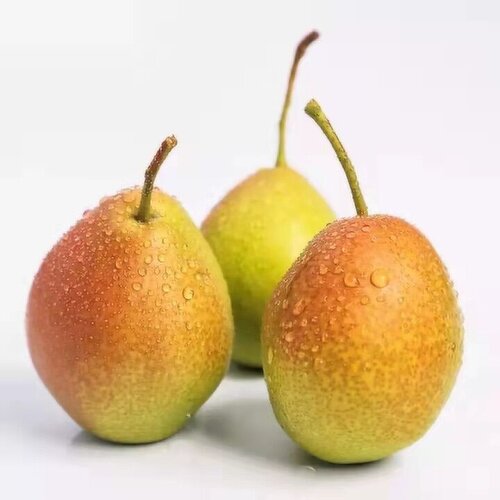Red - Fragrant Pear