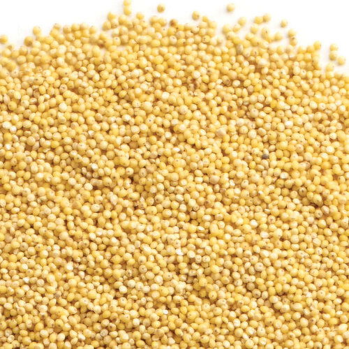 Millet - Organic Hulled, Bulk