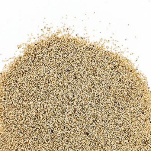 Save On Foods - White Poppy Seed