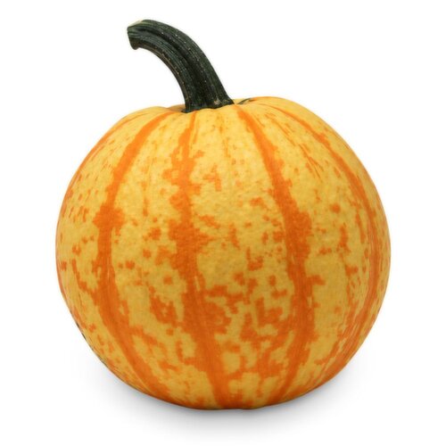 Pumpkin - Fireball