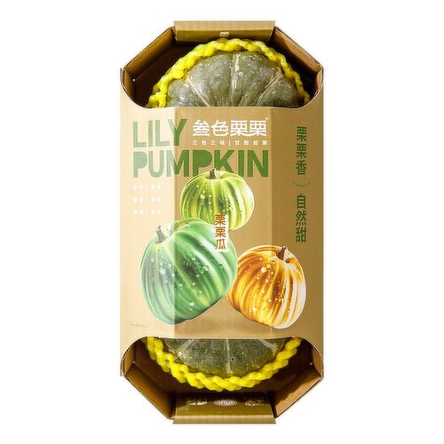 Lily - Pumpkin
