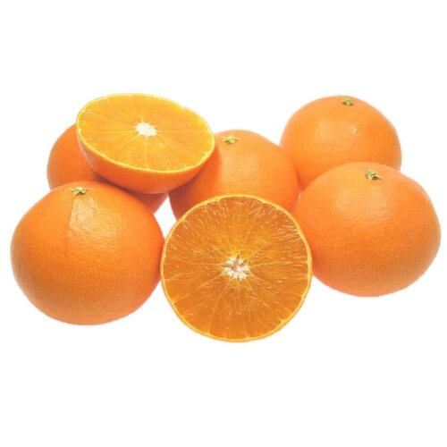Ehime - Specialty Orange