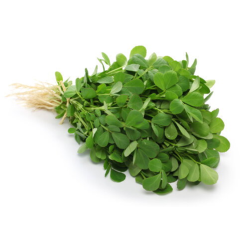 Fenugreek - Methi