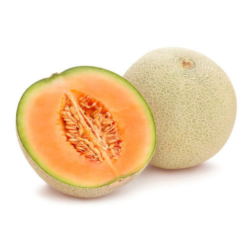 Melon - Cantaloupe