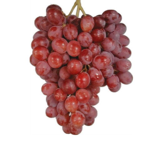 Grapes - Scarlotta Red Seedless, 1 Bag Approx