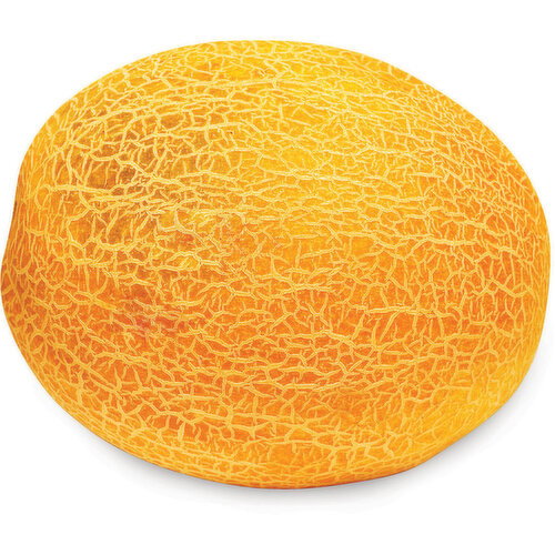 Melon - Honeydew, Orange Flesh