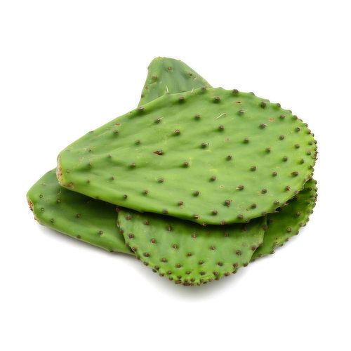 Fresh - Cactus Leaves