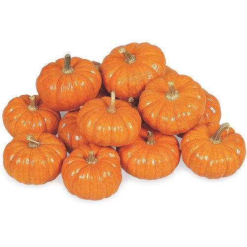 Pumpkin - Mini, Fresh