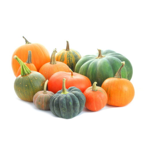 Pumpkins - Harvest Colour, Assorted