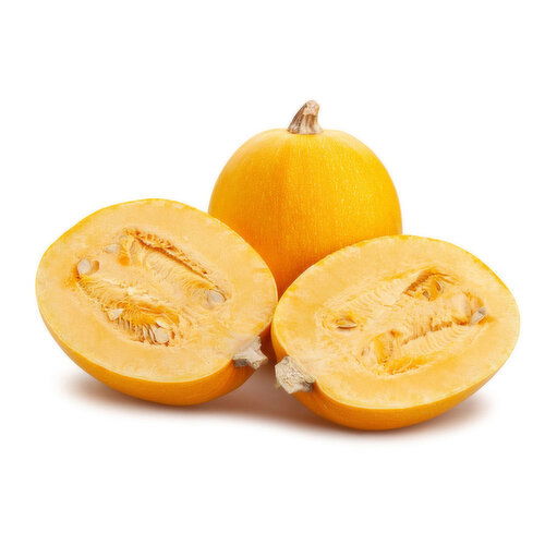 Squash - Spaghetti, Fresh