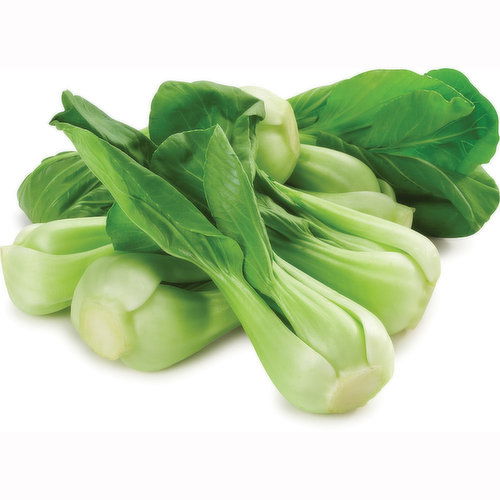 YU - Bok Choy Shanghai Mue, Fresh