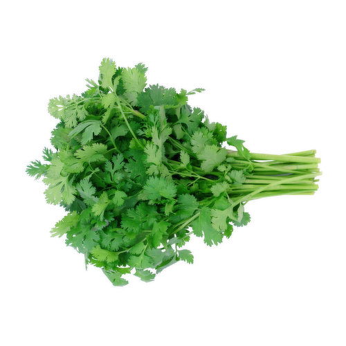 Cilantro - Fresh, Bunch