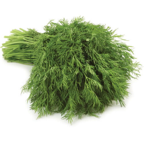 Dill - Bunched, Fresh