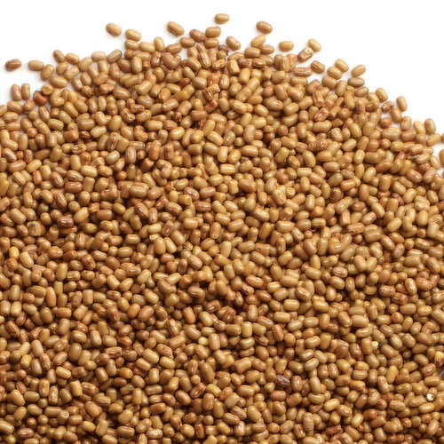 Moth - Lentils