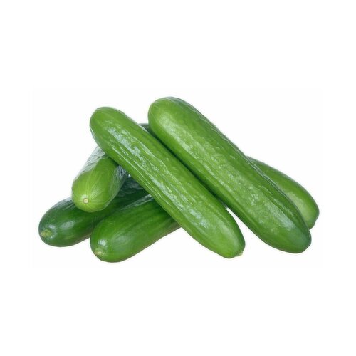 Cukes - Mini, Fresh