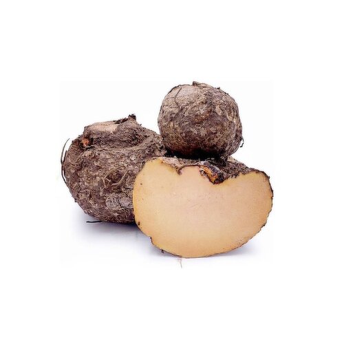Suran - Suran Elephant Foot Yam