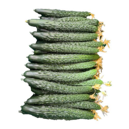 Mici - Cucumber