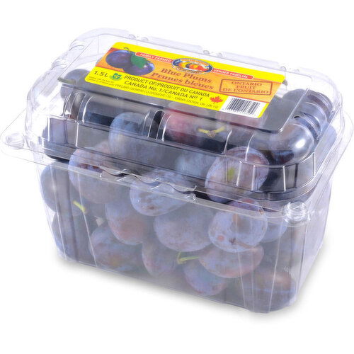 Plums - Blue, Fresh