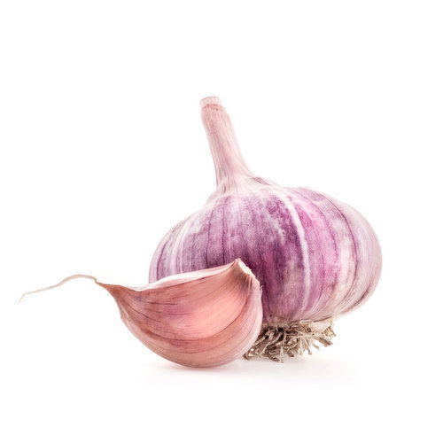 Garlic - Russian Red Organic Jumbo